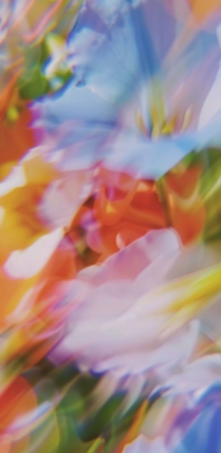 The Bloom